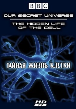 Фильм Внутренняя вселенная: Тайная жизнь клетки (2012)